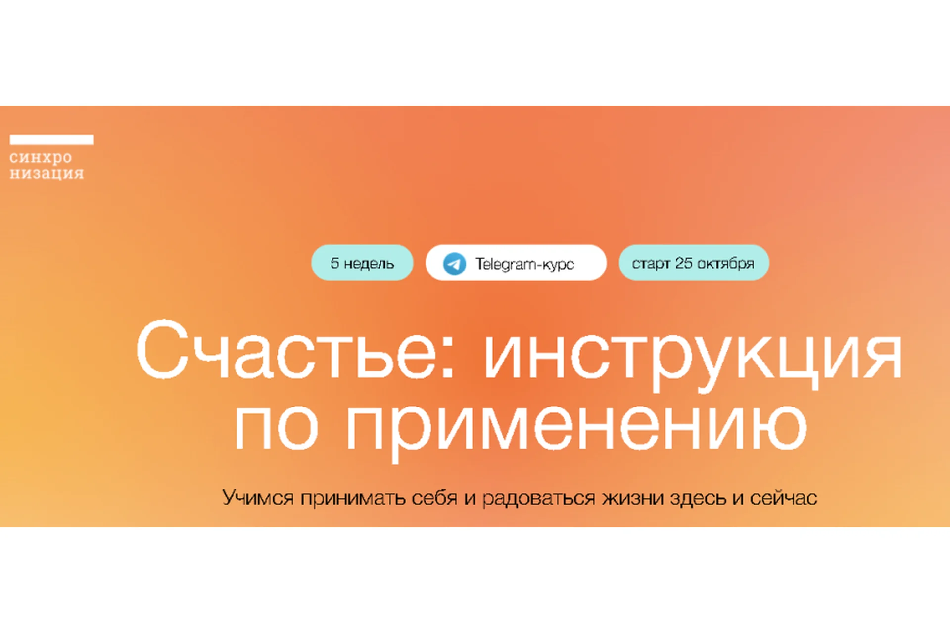 [Синхронизация] Счастье: инструкция по применению (Алёна Ванченко), фото 1 из 1.
