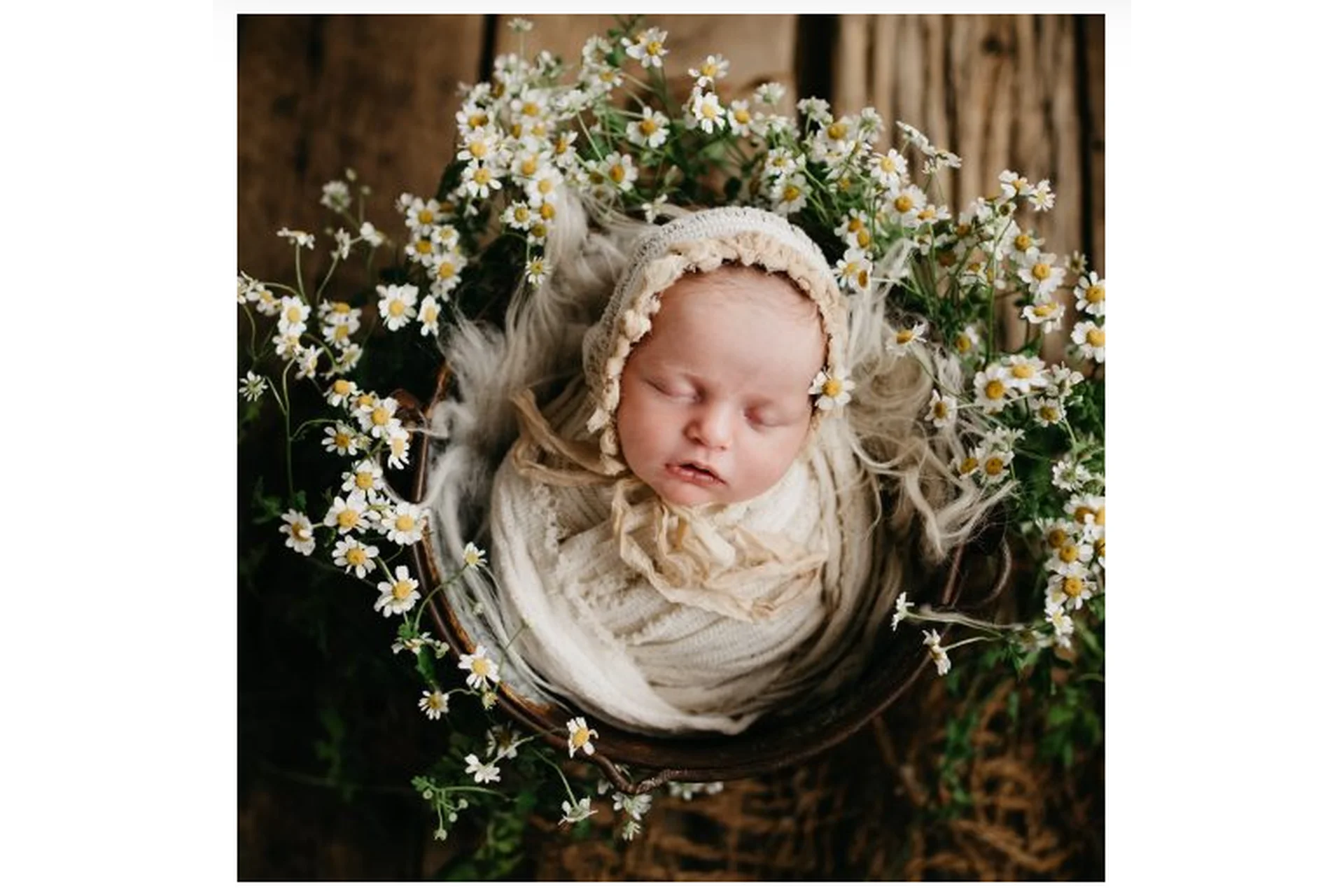 Теплые пресеты. Floral Matte (Twig & Olive), фото 1 из 1.