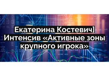 Активные зоны крупного игрока. Тариф Всё Сам (Екатерина Костевич)