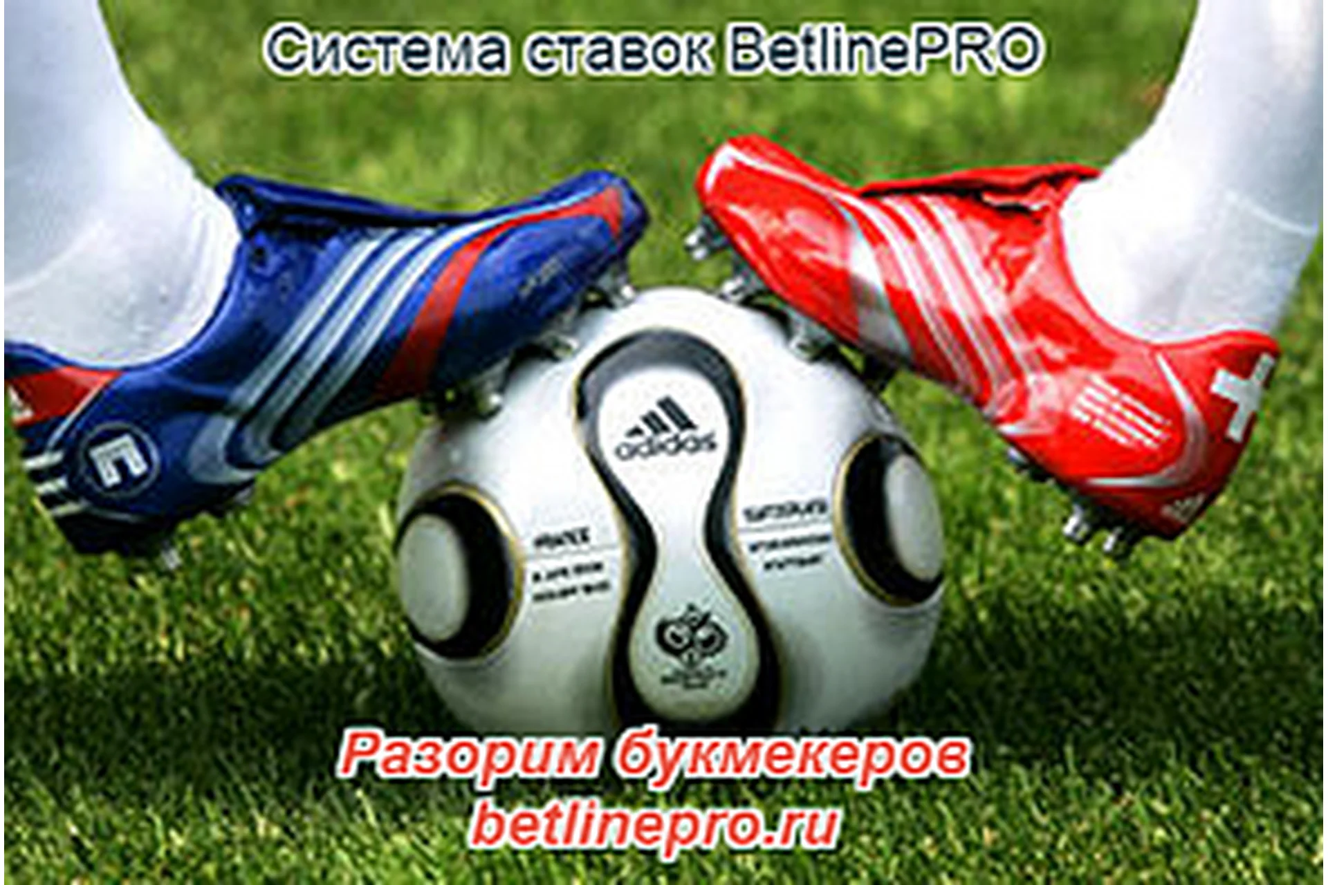 BetLine Pro, 2015, фото 1 из 1.