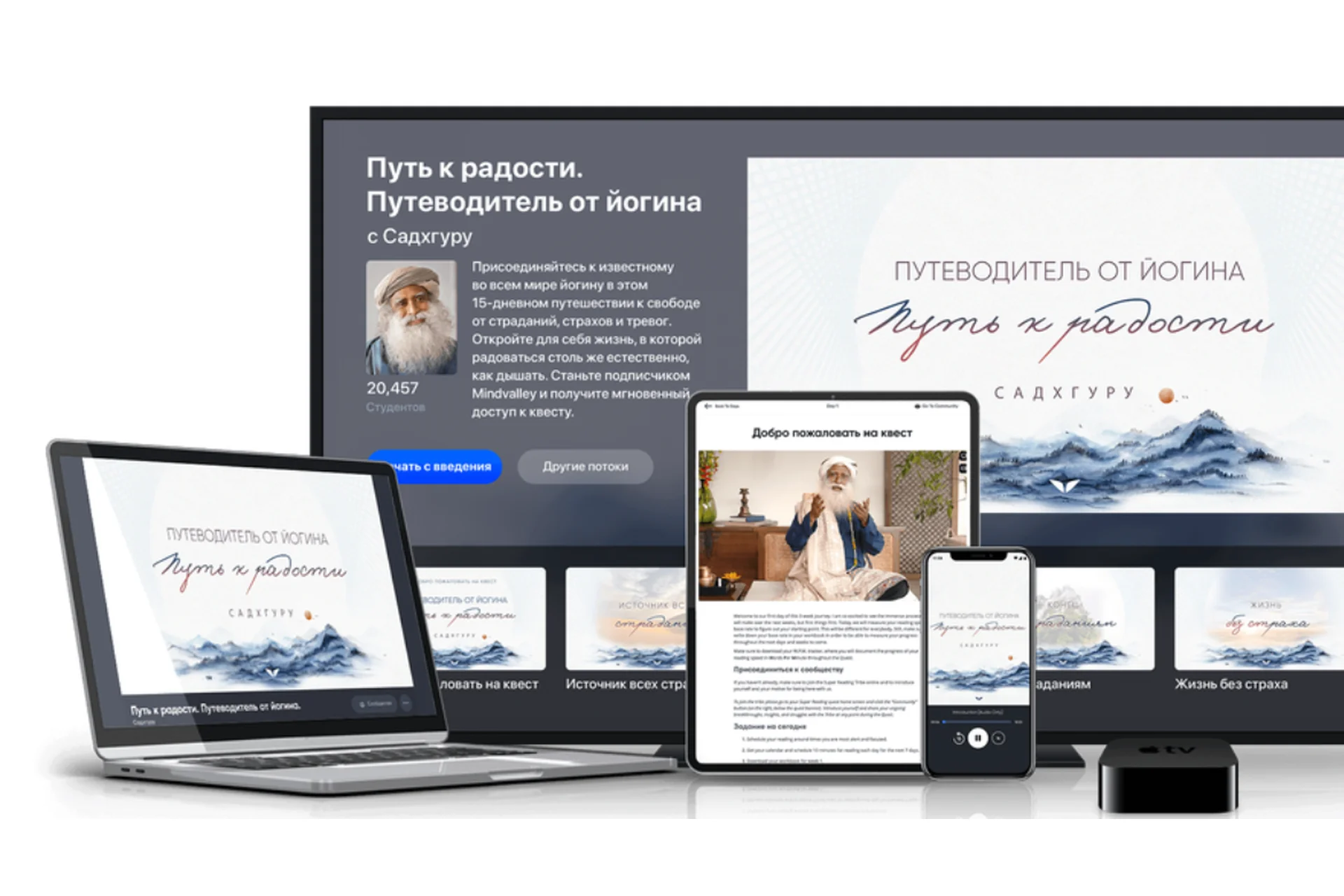 [Mindvalley] Путь к радости. Путеводитель от йогина (Садхгуру), фото 1 из 1.