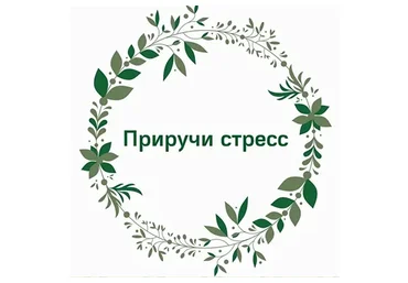 Приручи стресс (Наталья Кондакова)