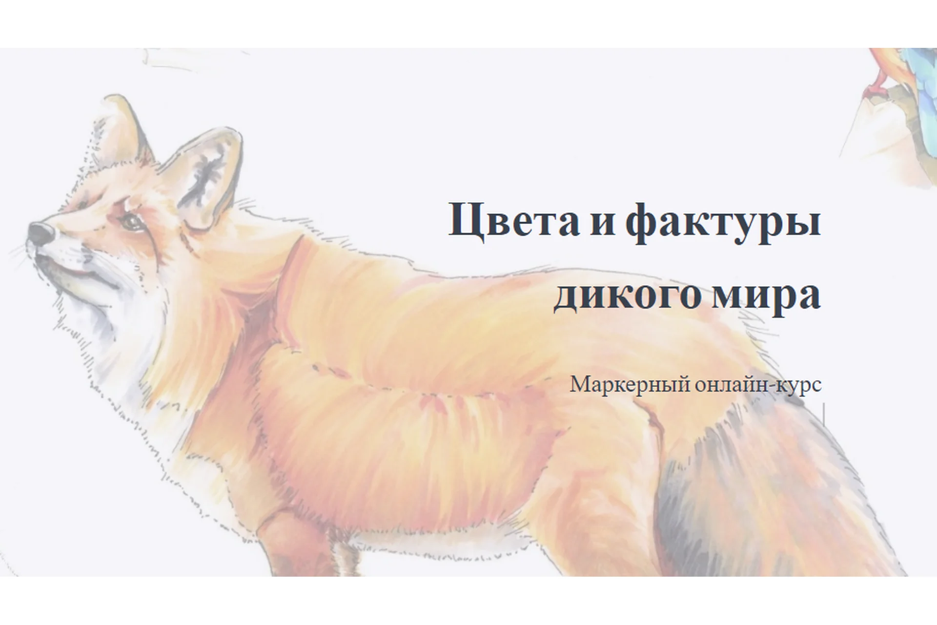 Цвета и фактуры дикого мира. Тариф Доступ на месяц (Надя Лойтлофф), фото 1 из 1.