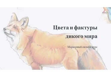 Цвета и фактуры дикого мира. Тариф Доступ на месяц (Надя Лойтлофф)