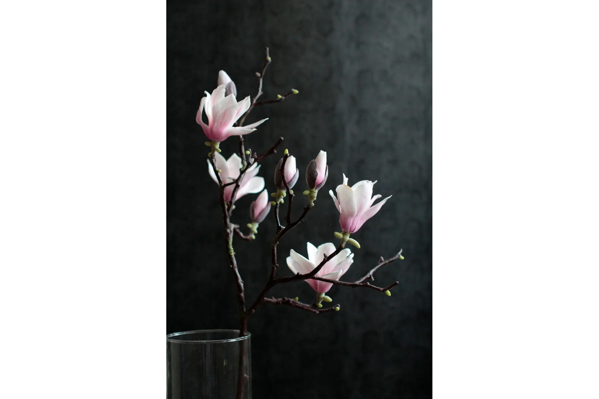 Магнолия из полимерной глины (Марина Головина), фото 1 из 1.