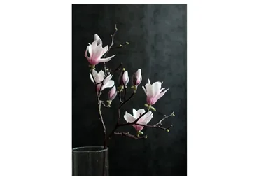 Магнолия из полимерной глины (Марина Головина)