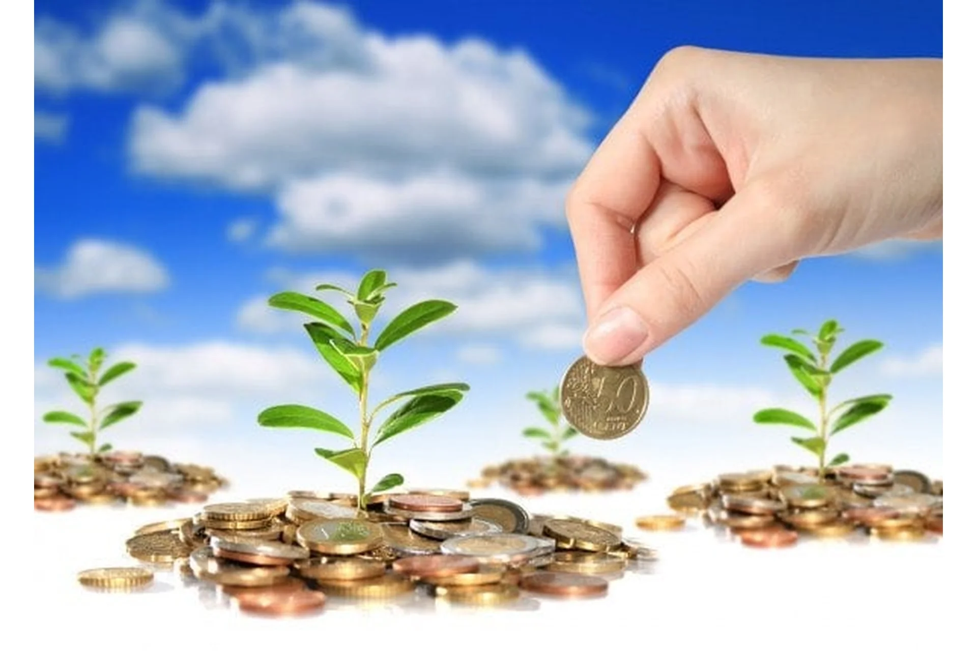 Денежный интенсив (Екатерина Вацлавская), фото 1 из 1.