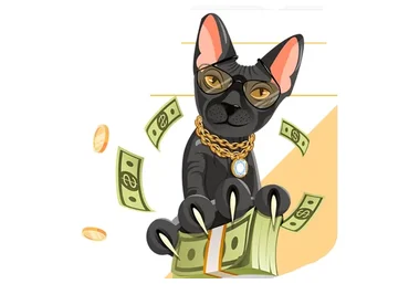 Изгнание внутреннего бомжа. Тариф «К результату с поддержкой», 4 поток (Виктория Ахмедянова)