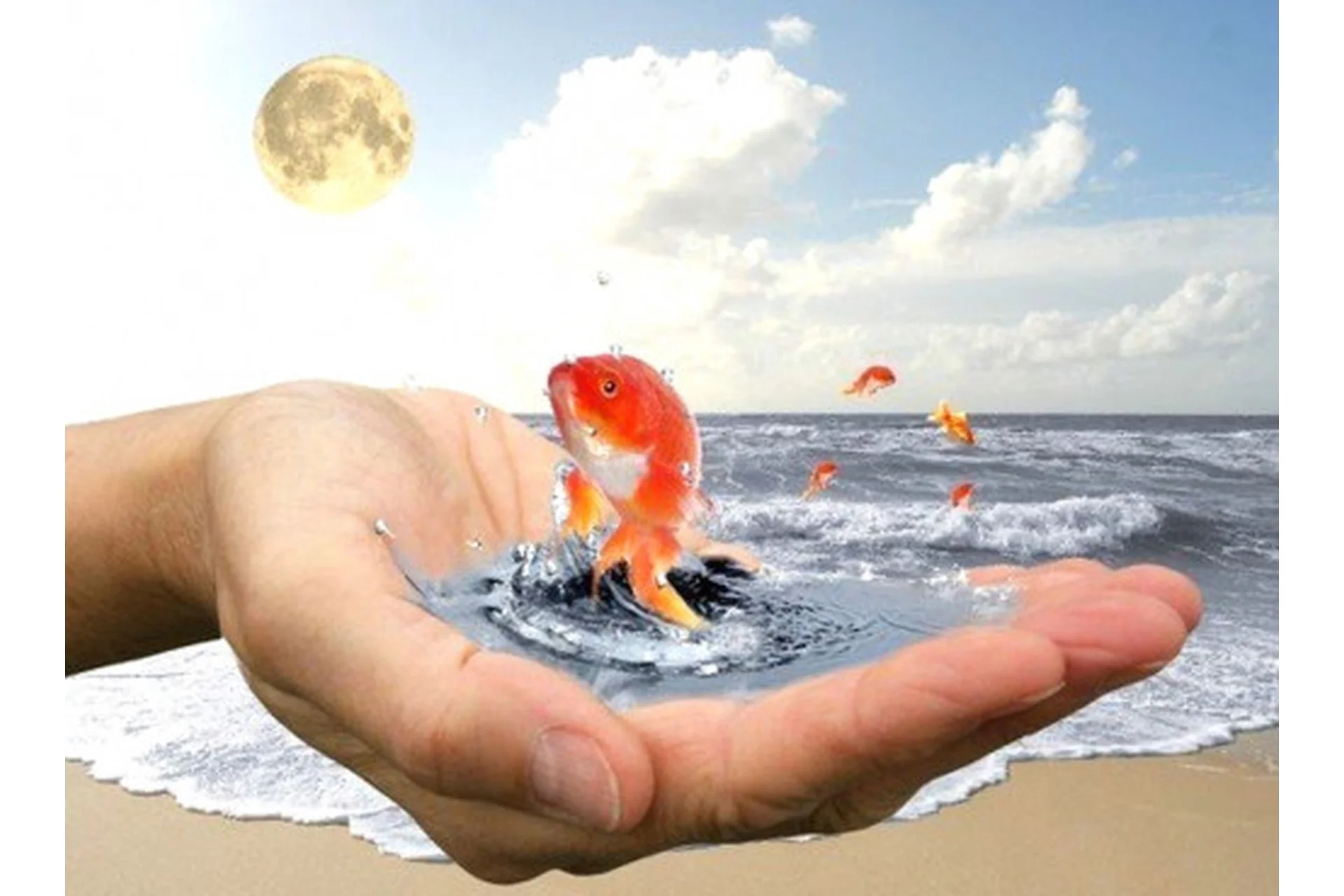 Модель везения и исполнения желаний (Алексей Кройтор), фото 1 из 1.