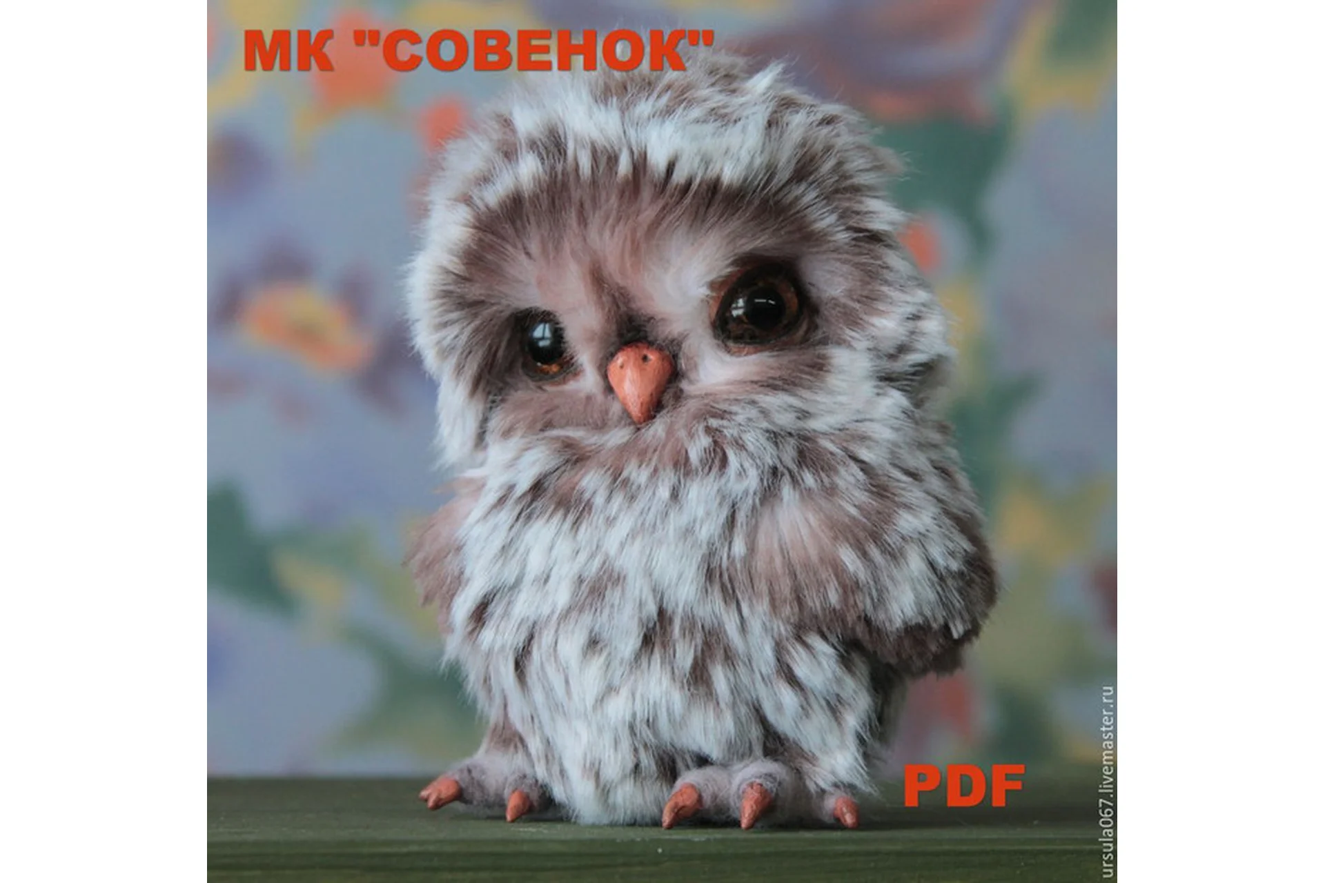 Совенок (Светлана Гуменникова), фото 1 из 1.