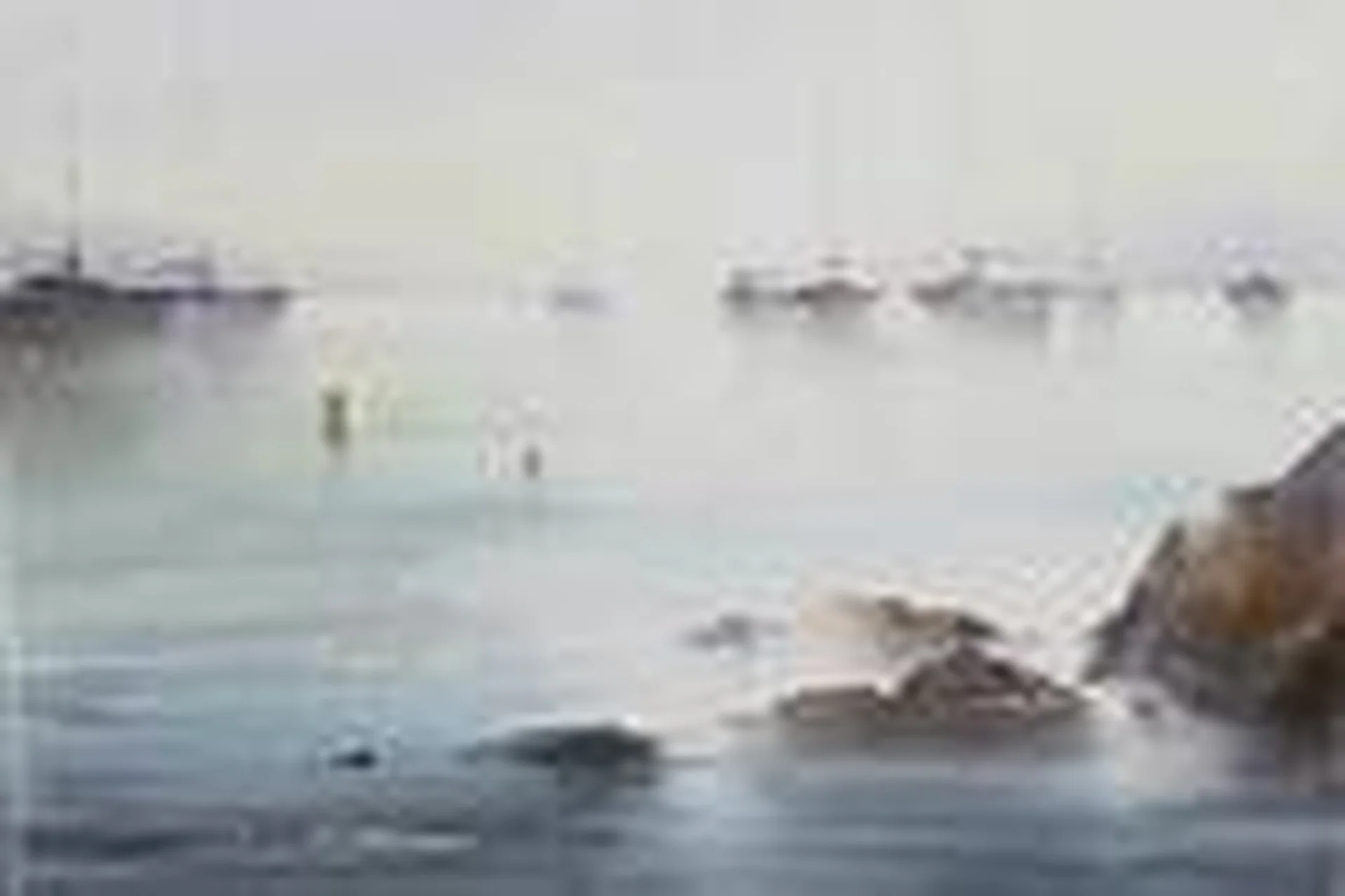 [Enterclass]  Лодки. Крона. Гроза (Илья Ибряев), фото 1 из 1.