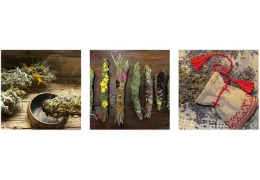 Обережные практики шаманского травничества (Татьяна Чуйкина)