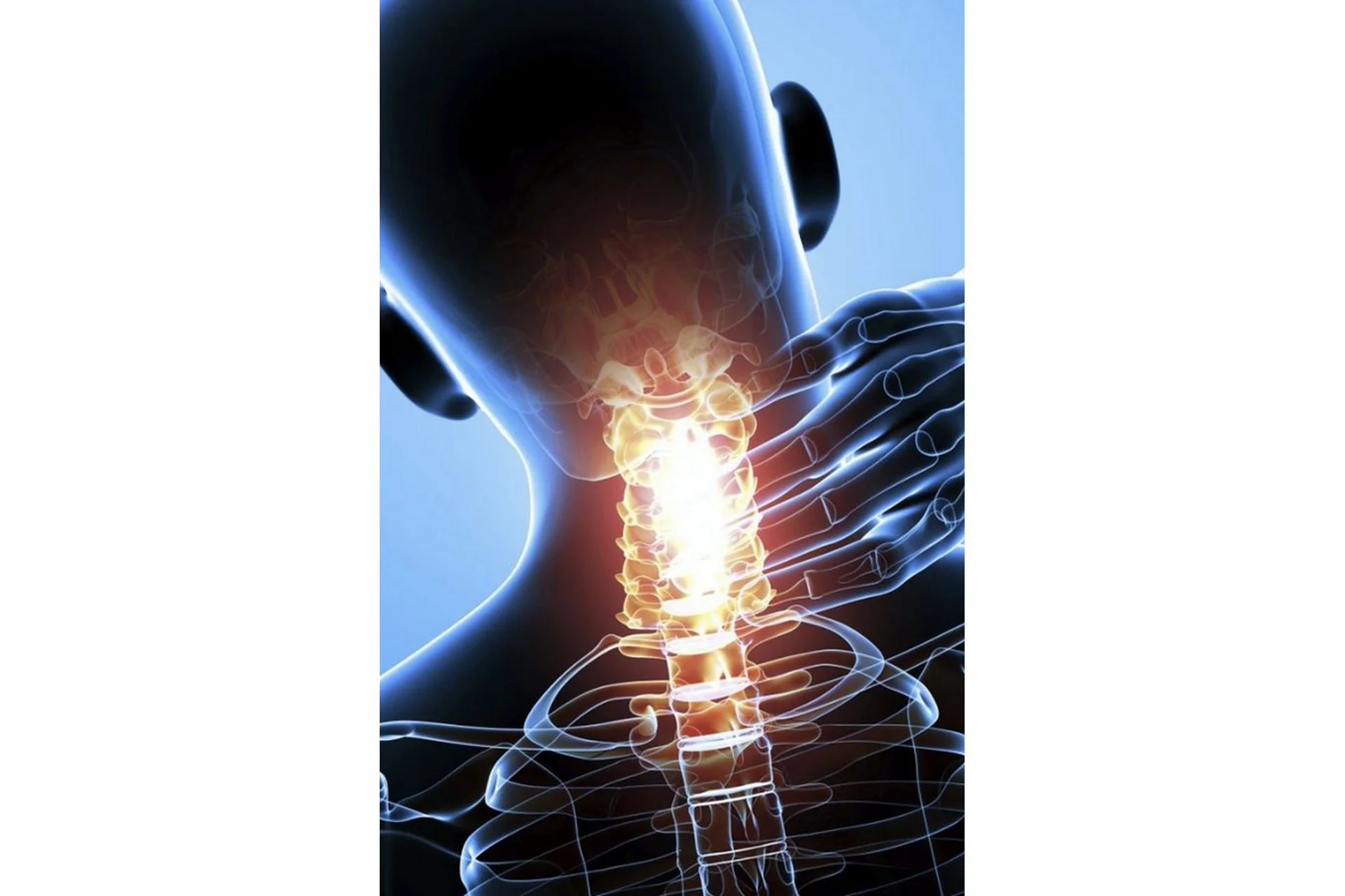 Шея. Нейроцентрический подход (Алихан Джиоев), фото 1 из 1.