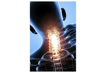 Шея. Нейроцентрический подход (Алихан Джиоев)