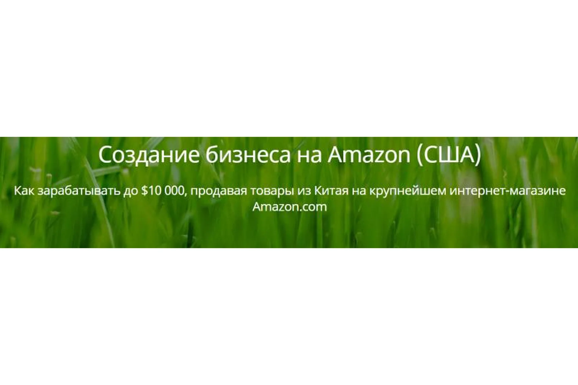 Создание бизнеса на Amazon (Игорь Кустов), фото 1 из 1.