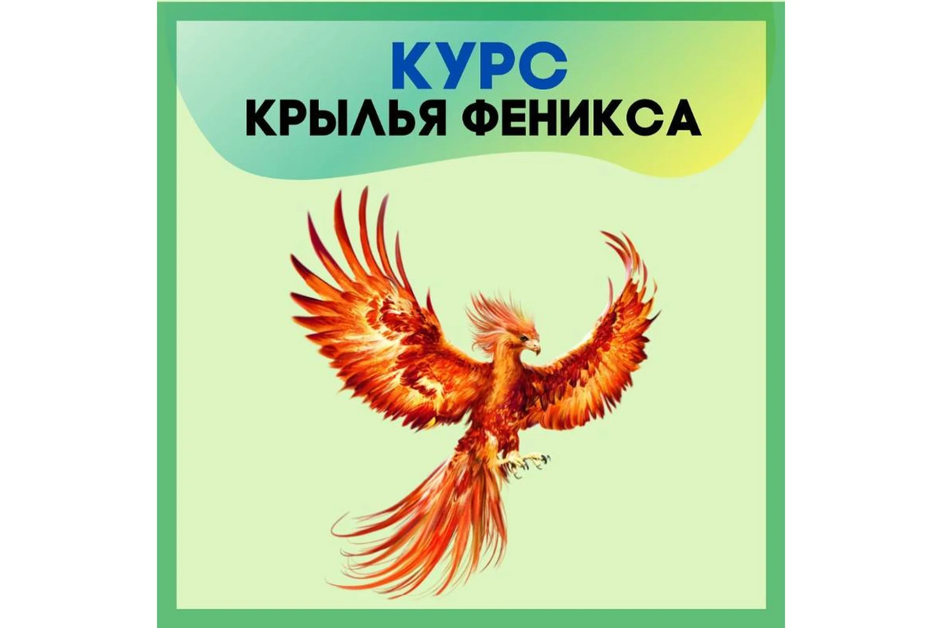 Крылья Феникса. Тариф "Я только посмотреть" (Анастасия Шагарова), фото 1 из 1.