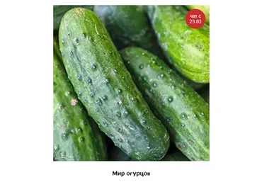 Мир огурцов (Кристианна Виниченко)