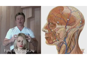 Страдаете от головной боли? Акупрессура точечный массаж (Василий Колобов)