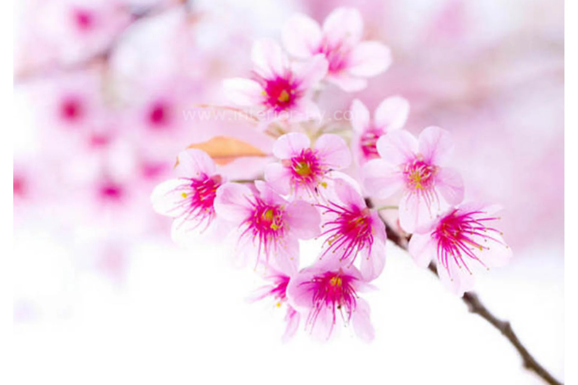 [ВиЭль центр] Женское состояние (Оксана Алексеева), фото 1 из 1.