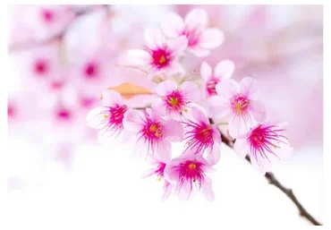 [ВиЭль центр] Женское состояние (Оксана Алексеева)