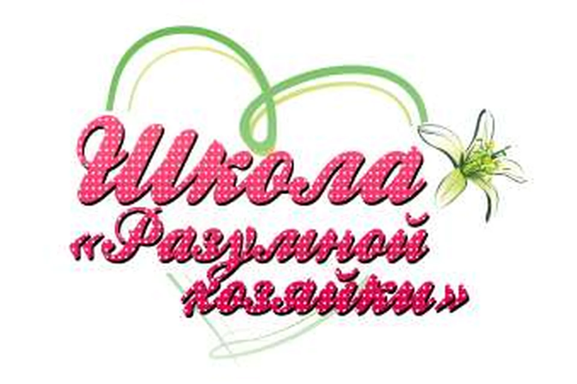 Школа разумной хозяйки. Вторая ступень (Елена Тимина), фото 1 из 1.