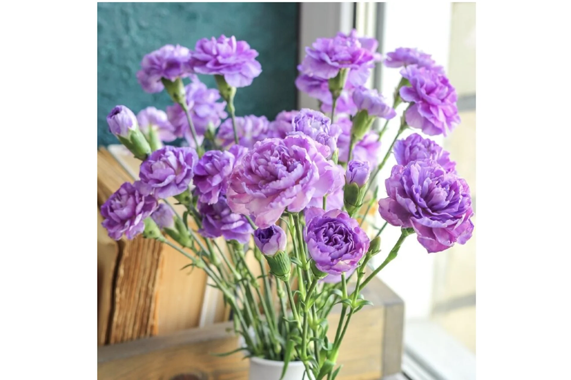 [tanyaflower] Гвоздики (Татьяна Кононова), фото 1 из 1.