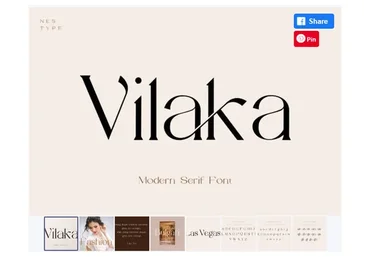 [Creativefabrica] Vilaka Font (Nest Studio)