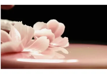 Это скоро запретят. Муссовые торты (Тaня Силаeва)