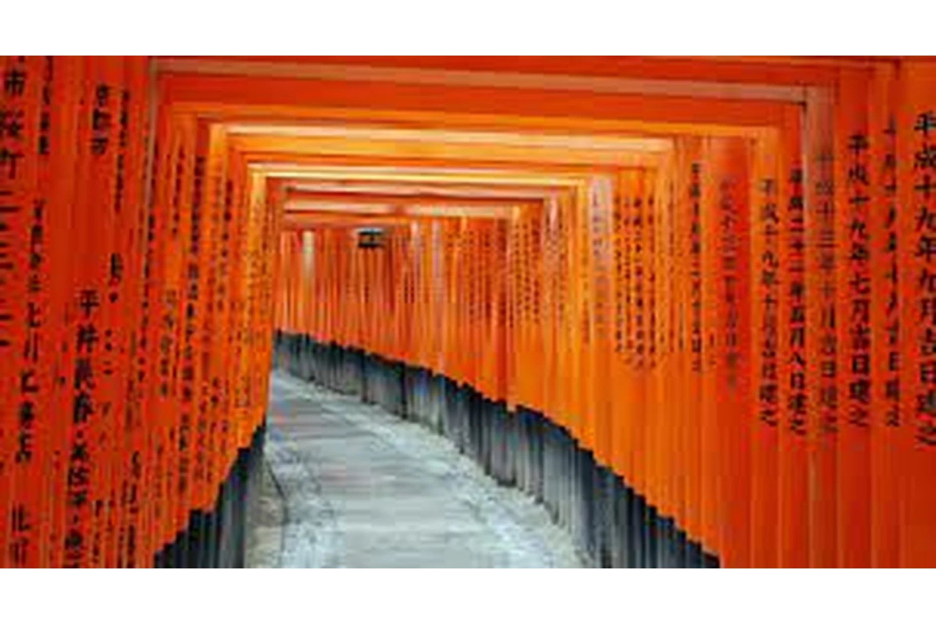 Ци Мень Дунь Дзя. Технология прогнозирования. Модуль 3. Бизнес. Работа (Бронислав Виногродский), фото 1 из 1.