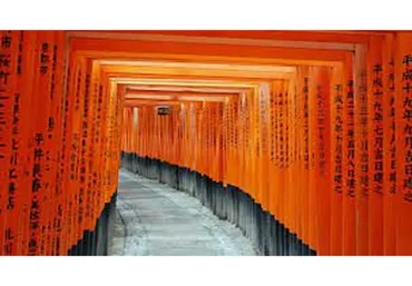 Ци Мень Дунь Дзя. Технология прогнозирования. Модуль 3. Бизнес. Работа (Бронислав Виногродский)