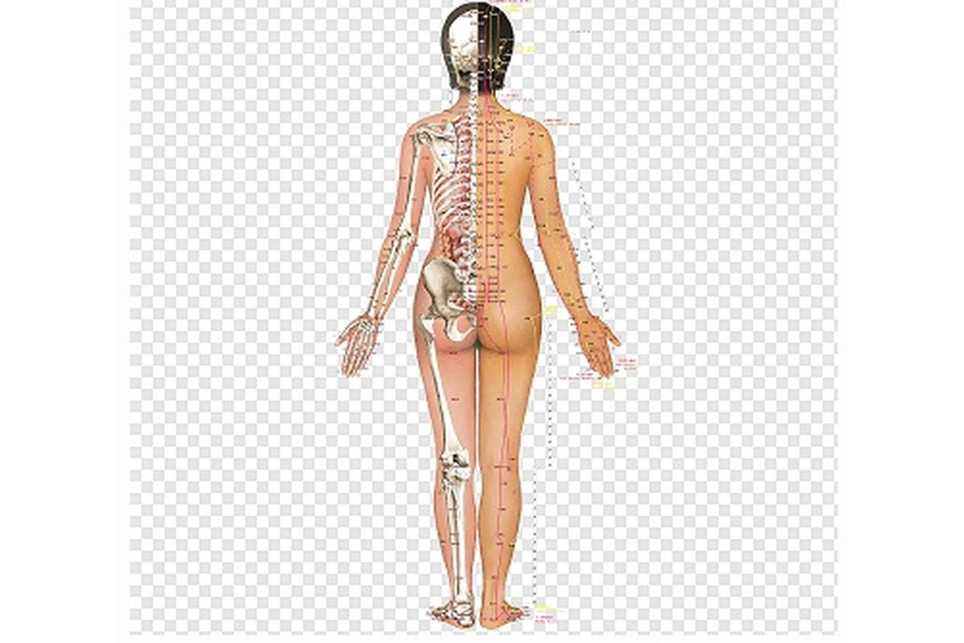 Пробуждение мозга. Духа Шэнь (Ван Вэй), фото 1 из 1.