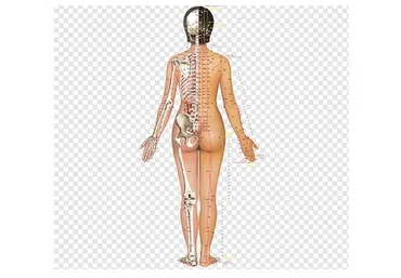 Пробуждение мозга. Духа Шэнь (Ван Вэй)