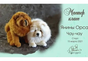 Чау-чау (Янина Орса)