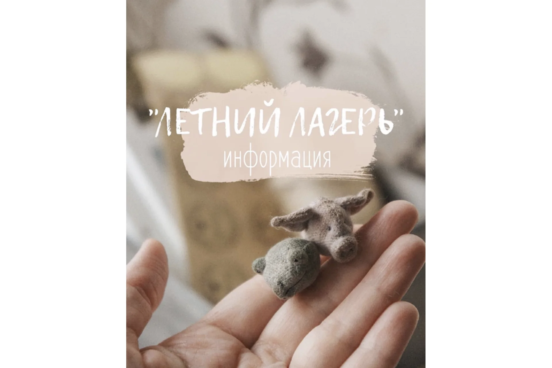 Школа Маленьких Зверей. Летний лагерь (Наталья Суранова), фото 1 из 1.