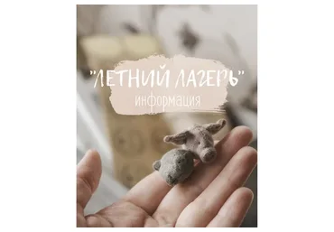 Школа Маленьких Зверей. Летний лагерь (Наталья Суранова)