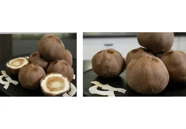 [Студия «Мусс»] Кокос (Виктория Углева)