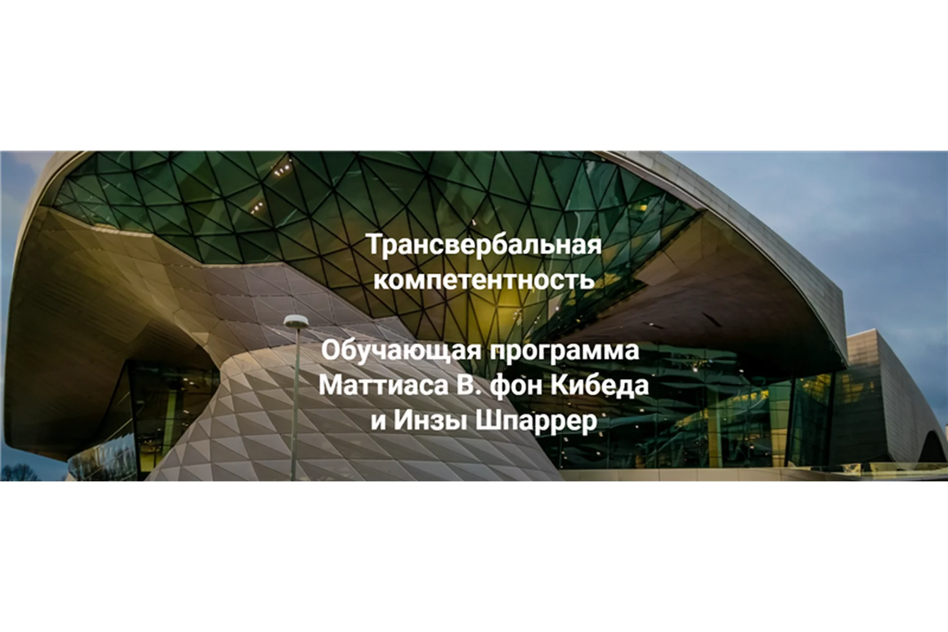Трансвербальная компетентность. Модуль 1 (Маттиас Варга фон Кибед, Инза Шпаррер), фото 1 из 1.