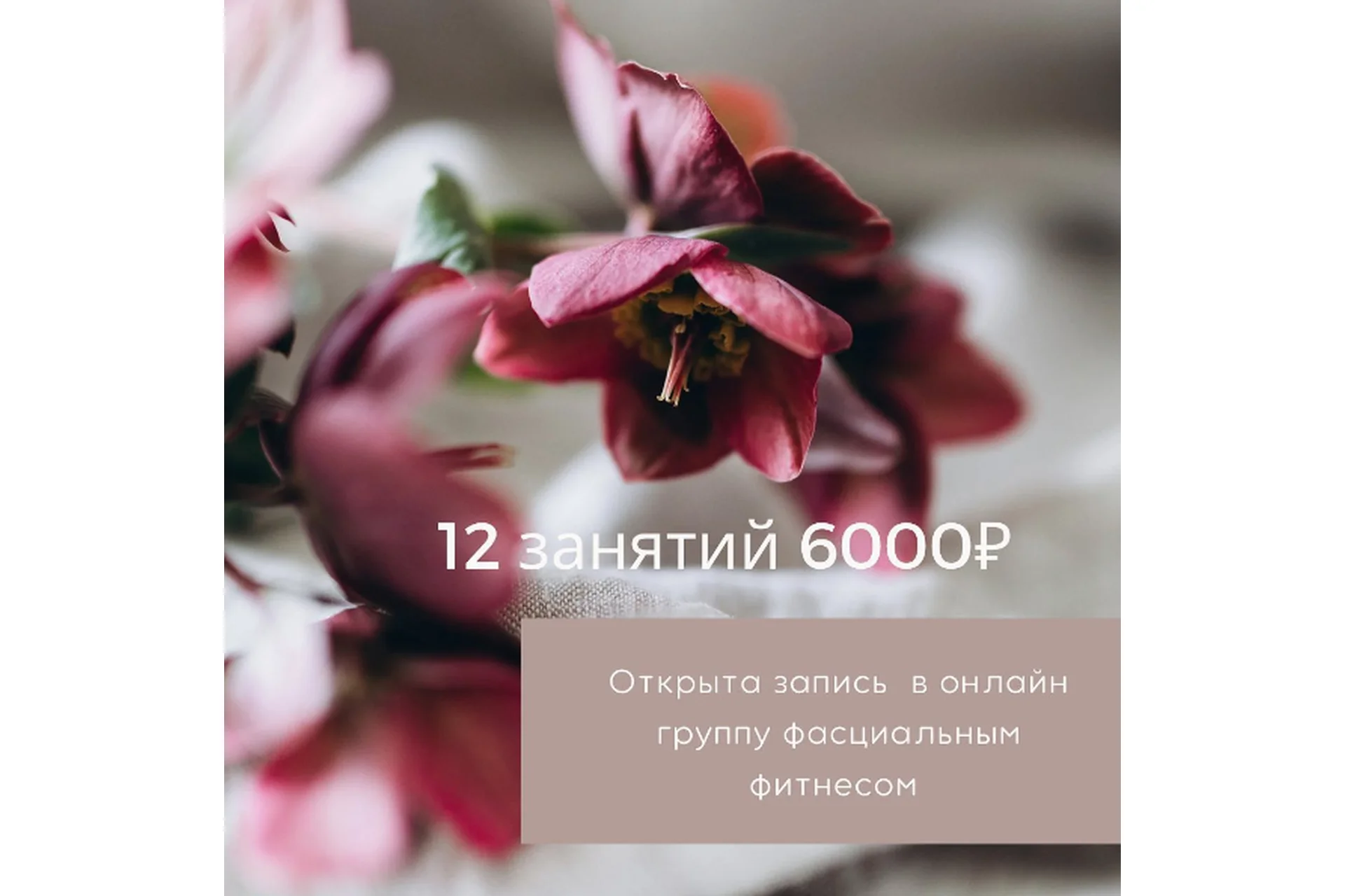 Фасциальный фитнес (fascial_fit), фото 1 из 1.