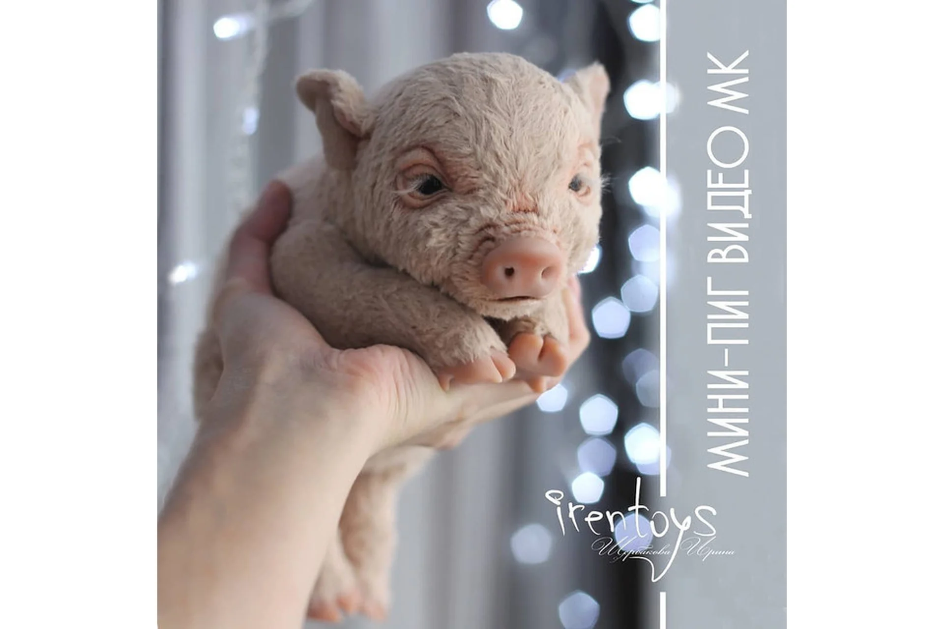 Мини-пиг (Ирина Щербакова), фото 1 из 1.