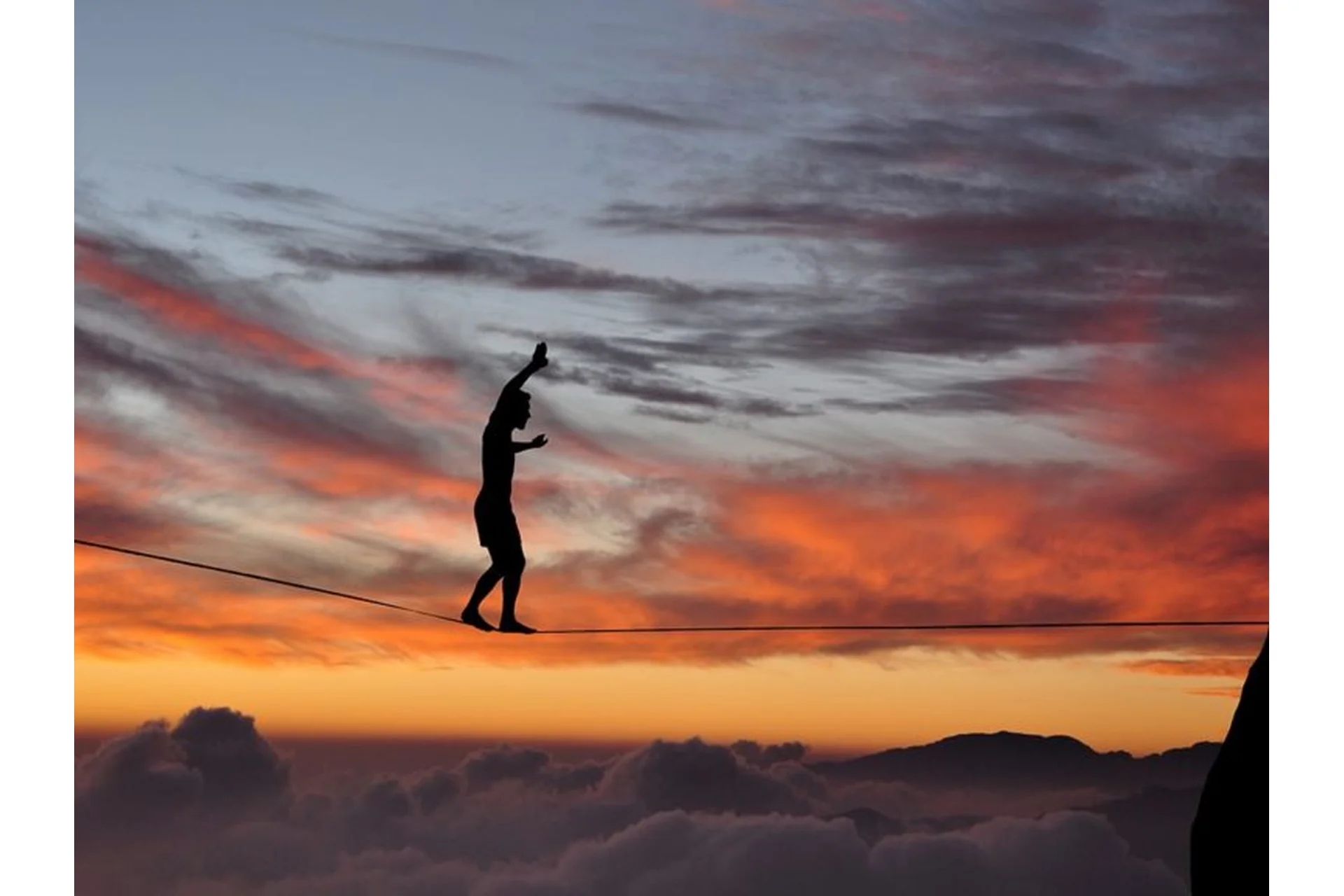 Поступью Творца (Екатерина Гарцева), фото 1 из 1.