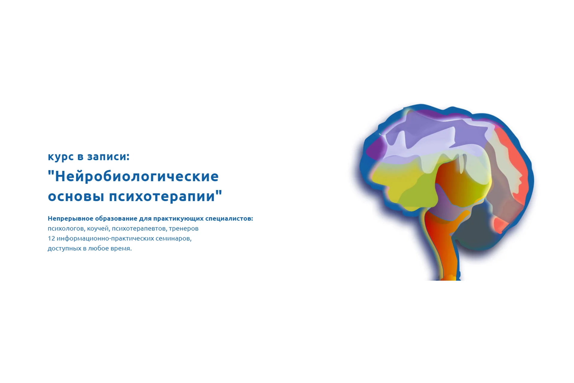 Нейробиологические основы психотерапии (Кирилл Кошкин, Руслан Магомедов), фото 1 из 1.