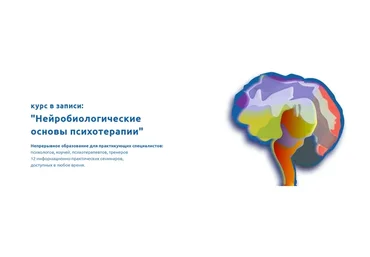 Нейробиологические основы психотерапии (Кирилл Кошкин, Руслан Магомедов)