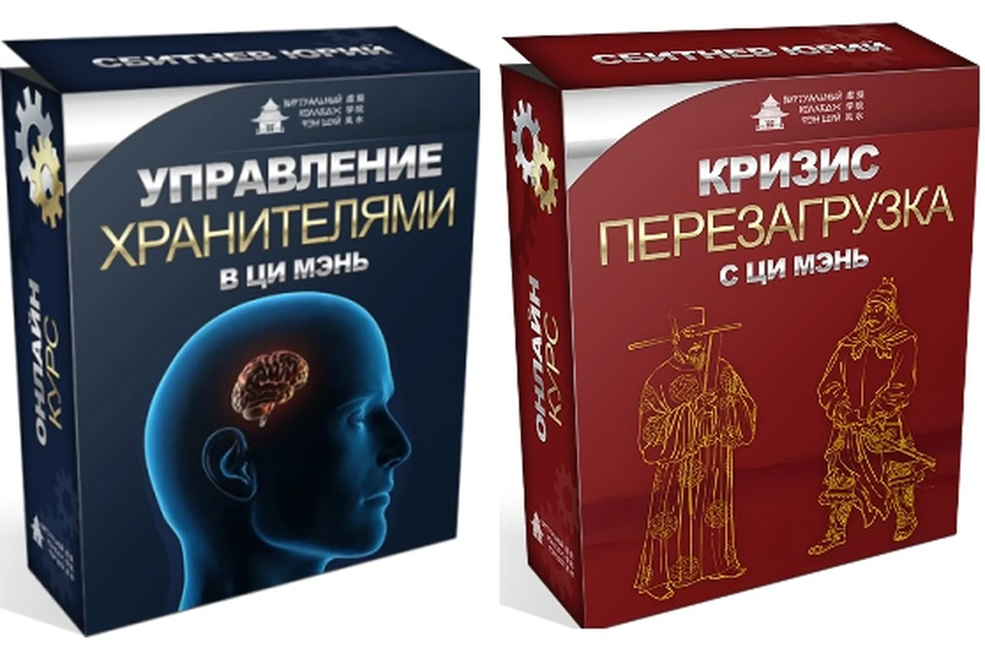 Управление Хранителями в Ци Мэнь + Кризис перезагрузка с Ци Мэнь (Юрий Сбитнев), фото 1 из 1.