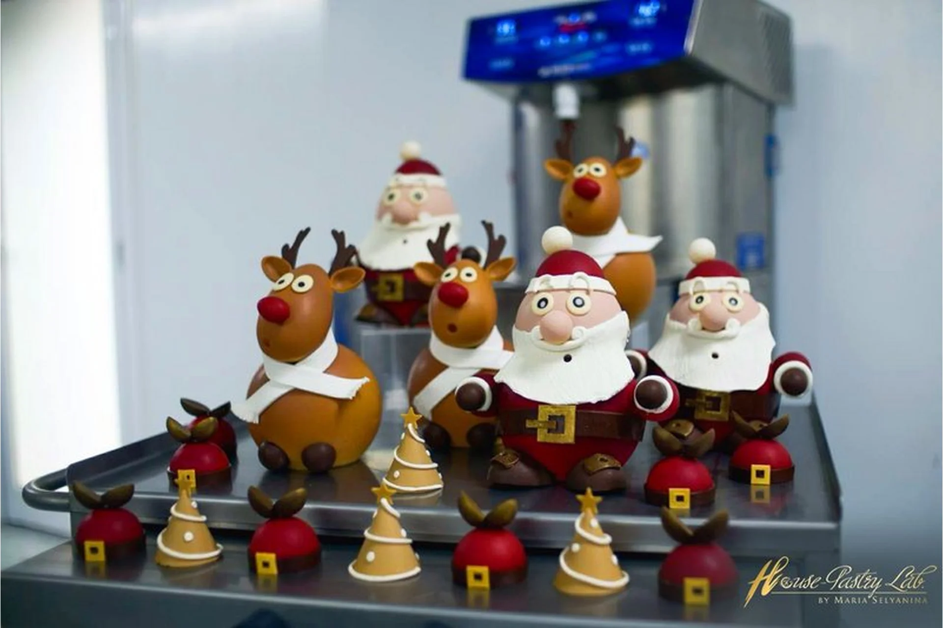 [PastryCampus] Рождественский и новогодний декор (Мария Селянина), фото 1 из 1.