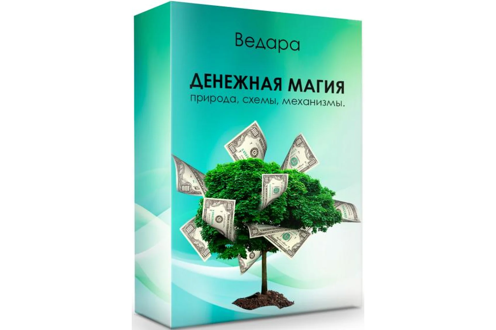 Денежная магия, 2020 (Елена Ведара), фото 1 из 1.