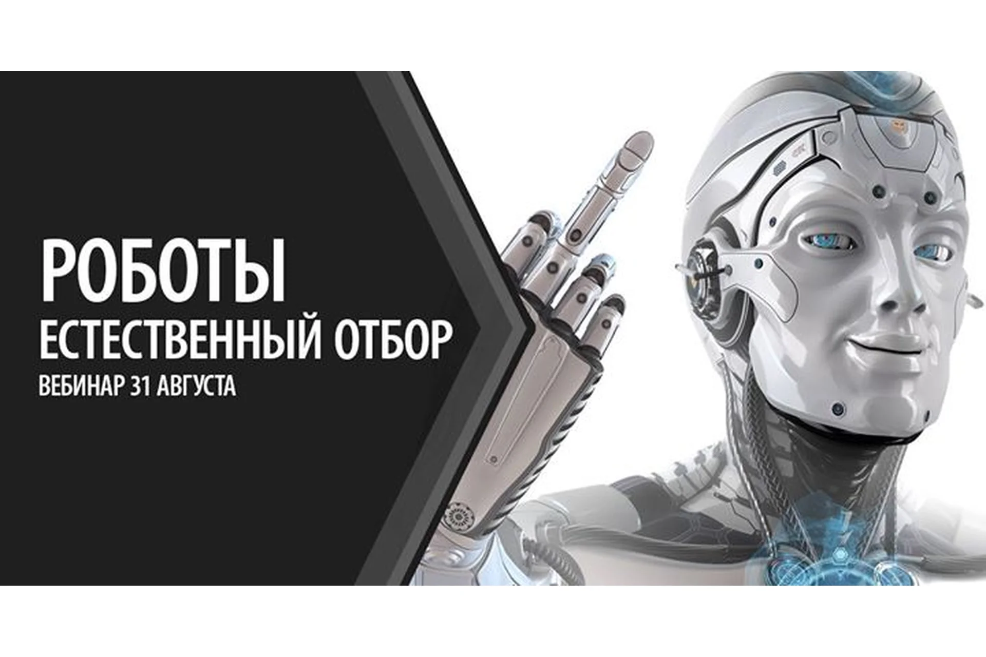 Роботы. Естественный отбор (Александр Палиенко), фото 1 из 1.