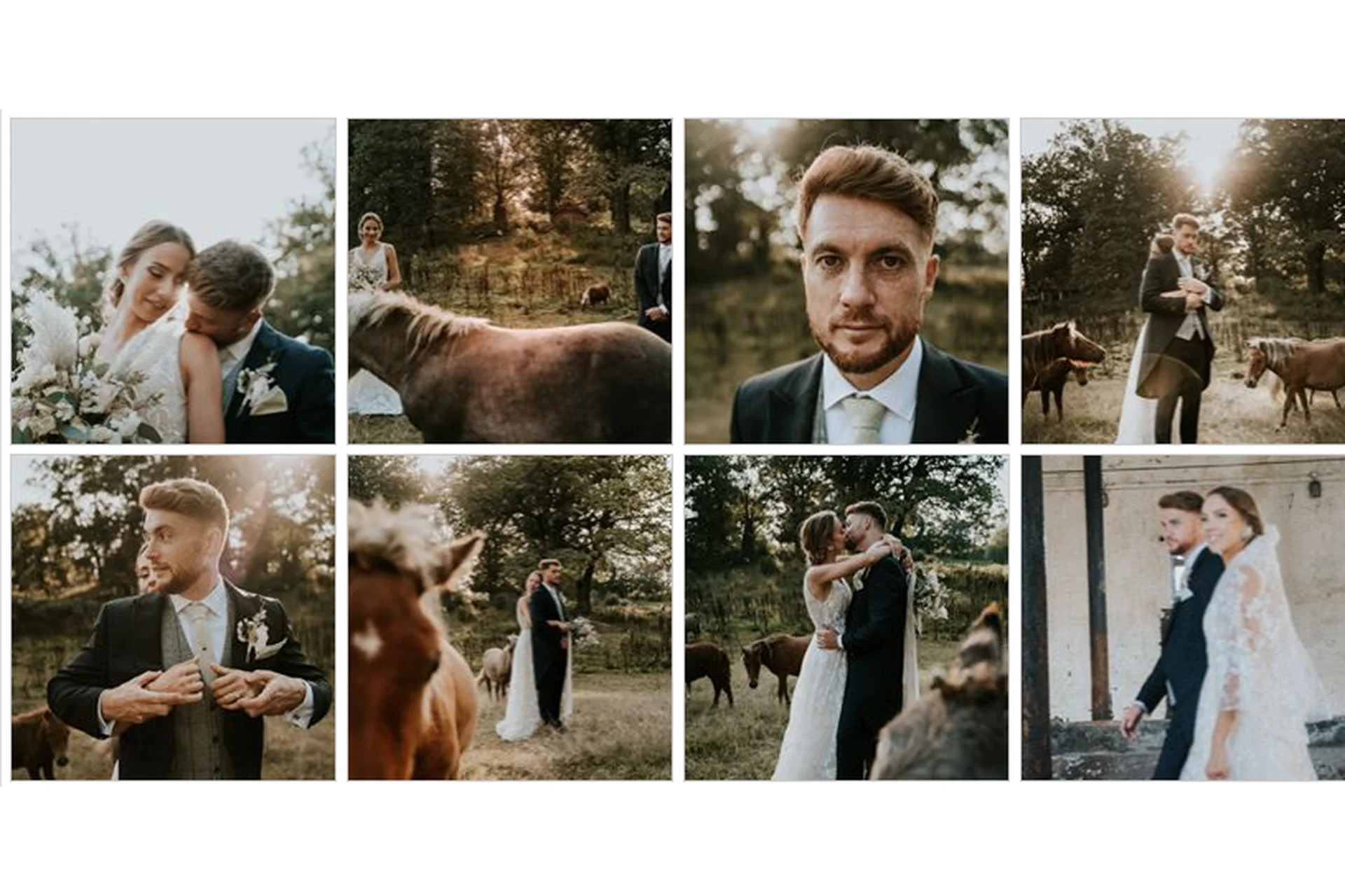 Теплые свадебные луты для видео. Earth LUTs (Flames & Roses), фото 1 из 1.