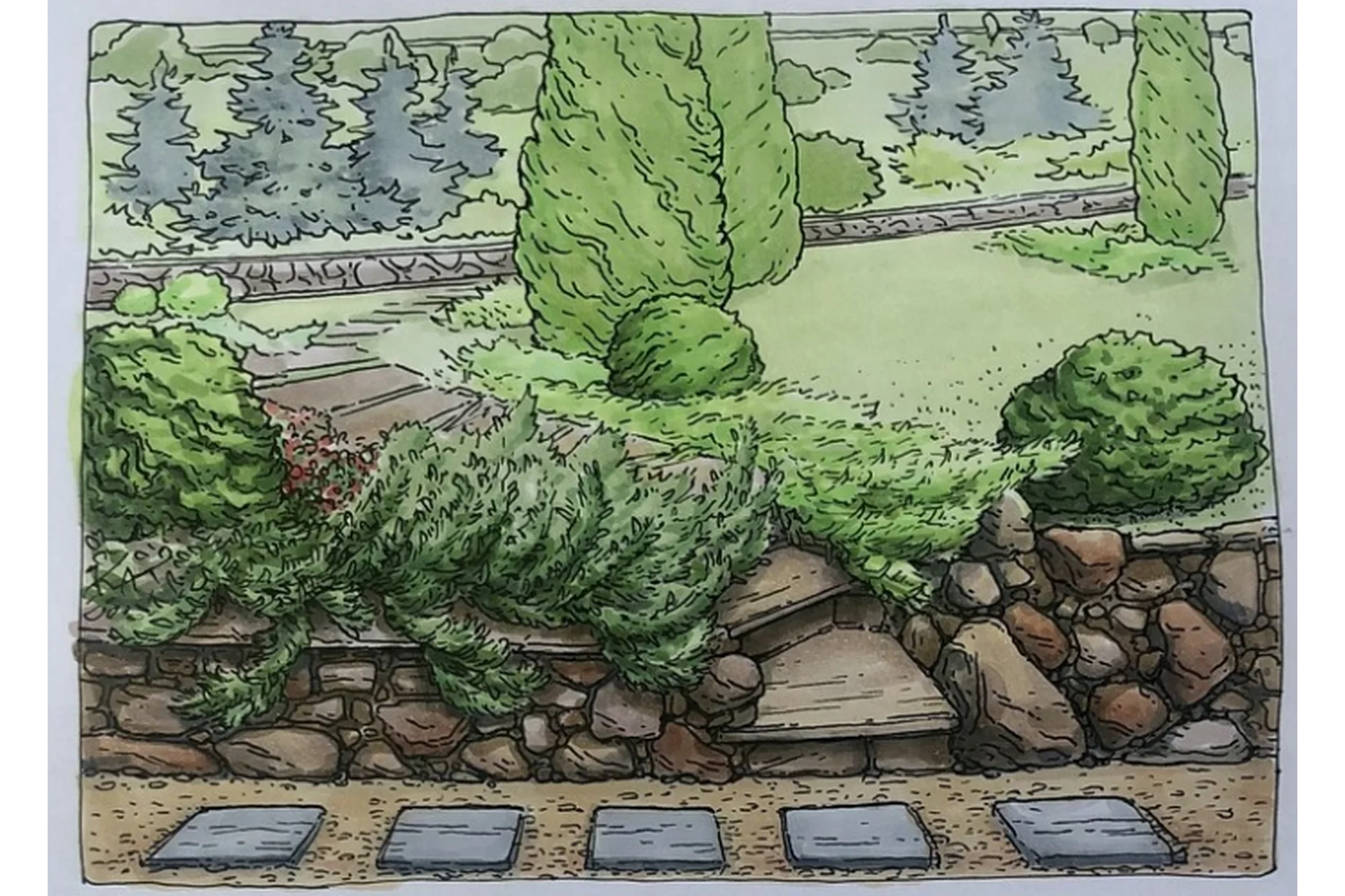 Ландшафт. Хвойные (Екатерина Kato Иванникова), фото 1 из 1.