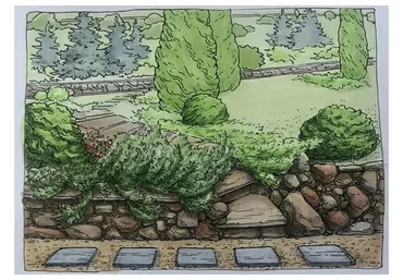 Ландшафт. Хвойные (Екатерина Kato Иванникова)