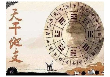 Полный курс Бацзы, 2020. Тариф Базовый (Светлана Джафарова)